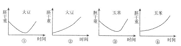 在大豆和玉米种子萌发的过程中能正确反映胚干重变化的是